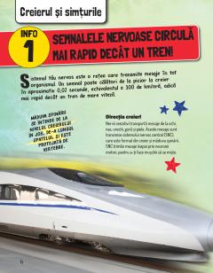 Corpul uman este grozav!