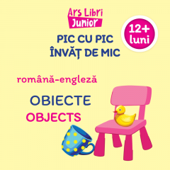 Pic cu pic invat de mic - Obiecte / Objects (romana - engleza)