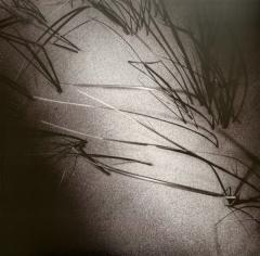 The Moon and the Melodies - Vinyl