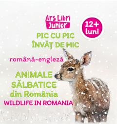 Pic cu pic invat de mic - Animale salbatice din Romania / Wildlife in Romania (romana - engleza)