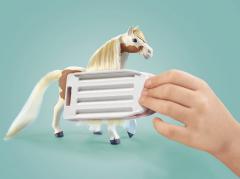 Set de joaca - Horses of Waterfall: Ellie With Horse