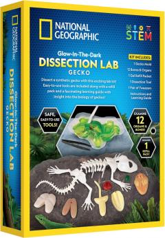 Set educativ - Glow in the Dark Dissection Lab - Gecko