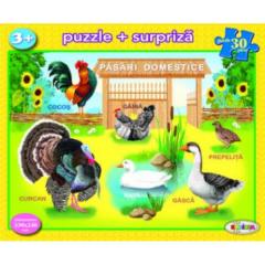 Puzzle - Pasari domestice