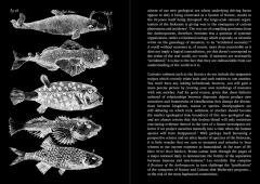 A Bestiary of the Anthropocene