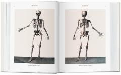 Bourgery. Atlas de anatomia humana y cirugia