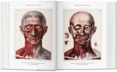 Bourgery. Atlas de anatomia humana y cirugia