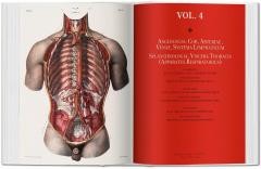Bourgery. Atlas de anatomia humana y cirugia