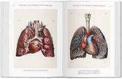 Bourgery. Atlas de anatomia humana y cirugia