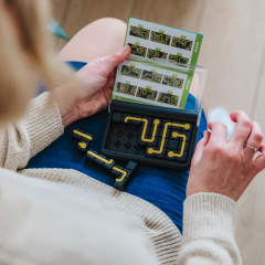 Joc de logica - IQ Circuit