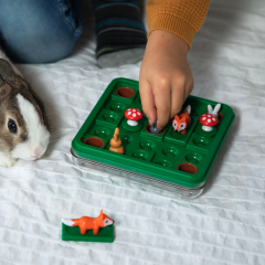 Joc de logica - Jump'In