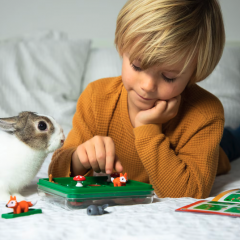 Joc de logica - Jump'In