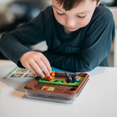 Joc de logica - Squirrels Go Nuts!