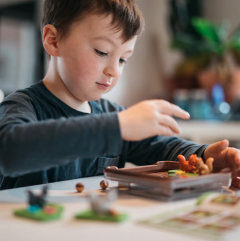 Joc de logica - Squirrels Go Nuts!