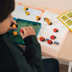 Joc de logica - LogiBugs