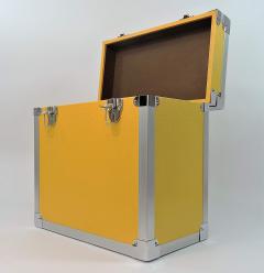 Cutie pentru depozitare viniluri - Record Box