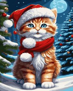 Set pictura pe numere -  Pisica de Craciun