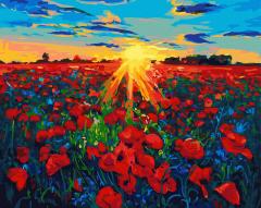 Set pictura pe numere -  Camp de maci