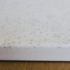 Set pictura pe numere -  Camp de maci