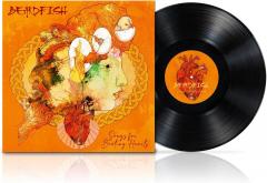 Songs For Beating Hearts - Vinyl