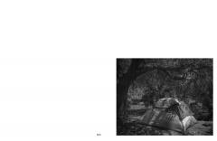 Orange Blossom Trail