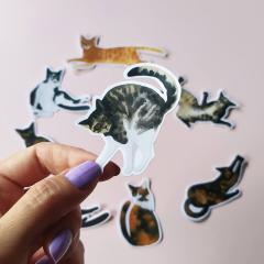 Sticker - Tabby Cat