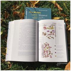 Mozaicul Marelui Palat din Constantinopol. The Mosaic of the Great Palace of Constantinople