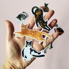 Sticker - Tuxido Cat