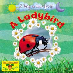 Ladybird