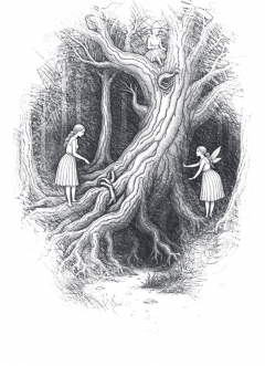 Viata si aventurile lui Mos Craciun