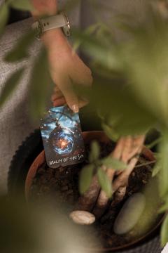 Joc de societate - Arcanix's Echoes