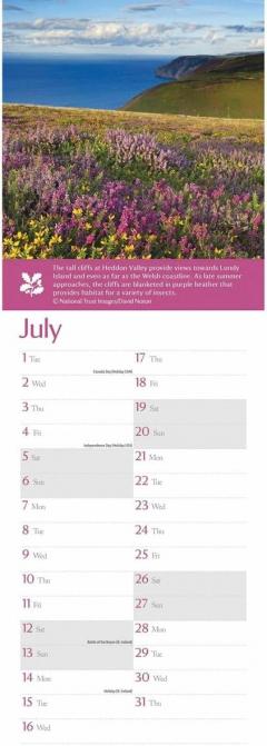 Calendar de perete 2025 - Slim - National Trust - Coast & Countryside