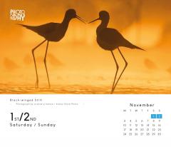 Calendar de birou 2025 - Photo of the Day