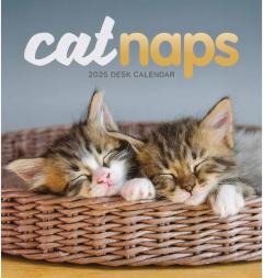Coperta cărții Calendar de birou 2025 - Cat Naps