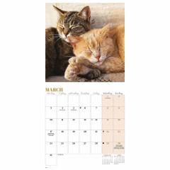 Calendar de perete 2025 - Mini - Cat Naps