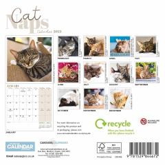 Calendar de perete 2025 - Mini - Cat Naps