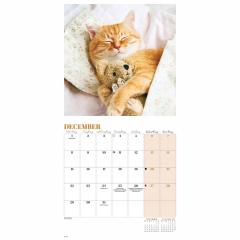 Calendar de perete 2025 - Mini - Cat Naps