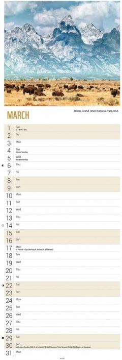 Calendar de perete 2025 - Slim - Beautiful World