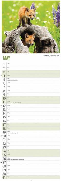 Calendar de perete 2025 - Slim - Beautiful World