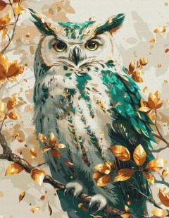 Set pictura pe numere - Emerald Owl