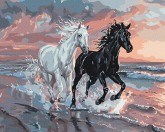 Set pictura pe numere - Duetul Vanturilor