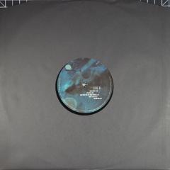 Before The Flood - Vinyl