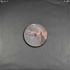 Before The Flood - Vinyl