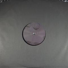 Before The Flood - Vinyl