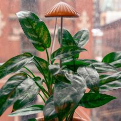 Lampa pentru plante - Mushroom