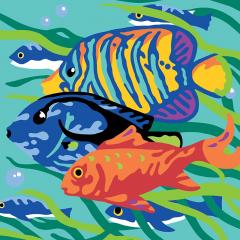 Set creativ - Colorizzy - Pesti