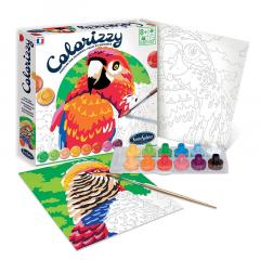 Set creativ - Colorizzy - Papagali