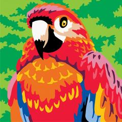 Set creativ - Colorizzy - Papagali