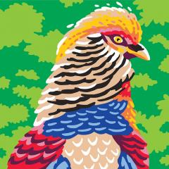 Set creativ - Colorizzy - Papagali