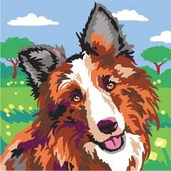 Set creativ - Colorizzy - Caini