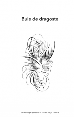 Ultima noapte petrecuta cu tine